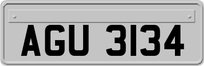 AGU3134