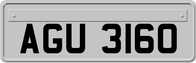 AGU3160