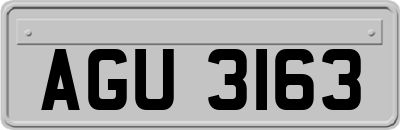 AGU3163