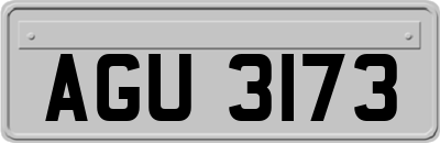 AGU3173