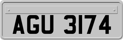 AGU3174