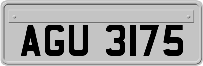 AGU3175