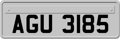AGU3185