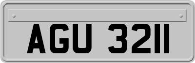 AGU3211