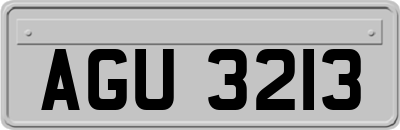 AGU3213