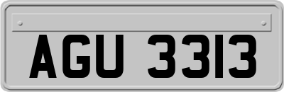 AGU3313