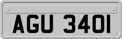 AGU3401