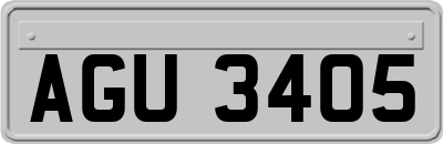 AGU3405