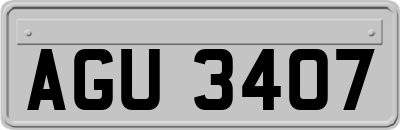 AGU3407