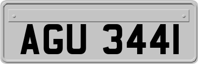 AGU3441