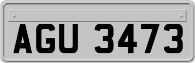 AGU3473