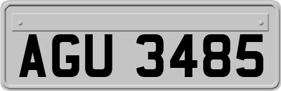 AGU3485