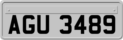 AGU3489