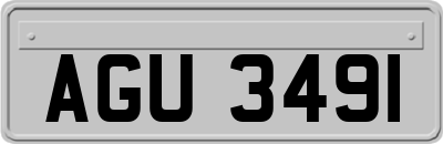 AGU3491