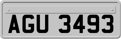 AGU3493