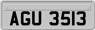AGU3513