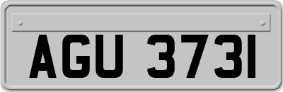 AGU3731