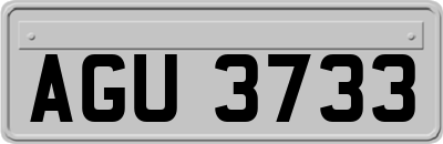 AGU3733