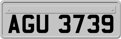 AGU3739