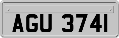 AGU3741