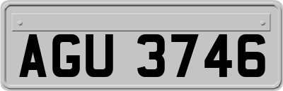 AGU3746
