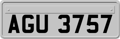 AGU3757