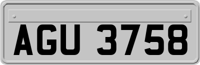 AGU3758
