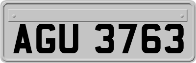 AGU3763