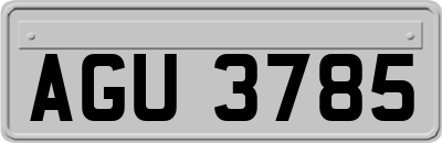 AGU3785