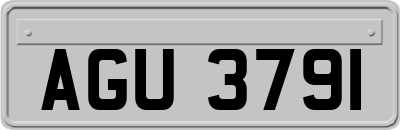 AGU3791