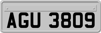 AGU3809