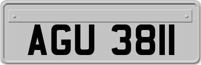 AGU3811