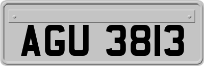 AGU3813