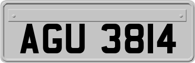 AGU3814