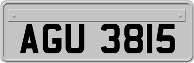 AGU3815
