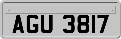 AGU3817