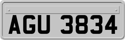 AGU3834