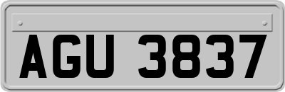AGU3837