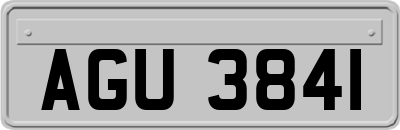 AGU3841