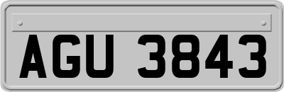 AGU3843