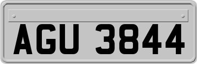 AGU3844