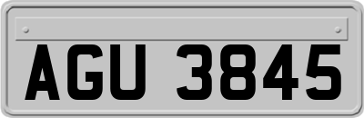 AGU3845
