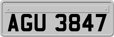 AGU3847