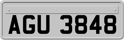 AGU3848