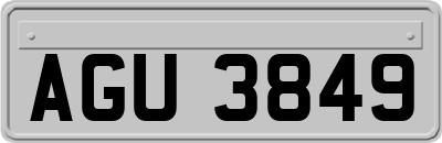 AGU3849