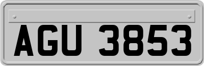 AGU3853