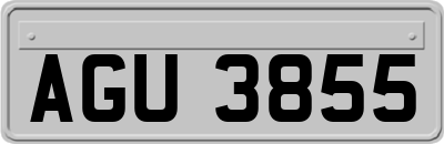 AGU3855