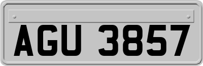 AGU3857