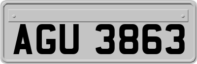 AGU3863