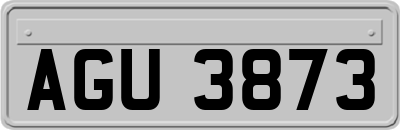 AGU3873